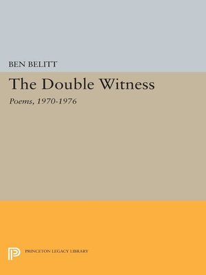 cover image of The Double Witness